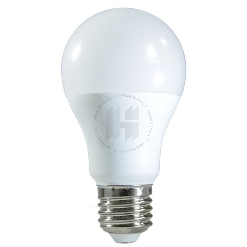 Žiarovka LED A60 9W 760lm 4000K 270° 12-24VAC/DC E27