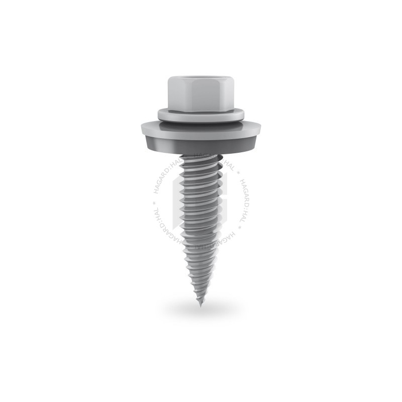 Skrutka samorezná SC HH DB pre SpeedClip 6x38mm A2 1005193 (2003525)